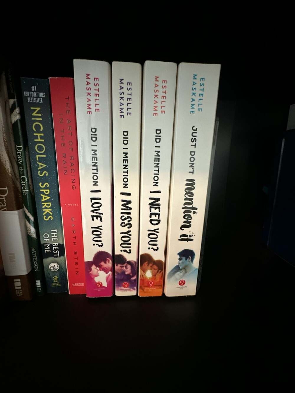 Did I Mention Series by Estelle Maskame (4-Book Paperback Set)